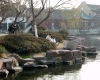 DSCN2623.jpg