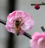 DSCN2633.jpg