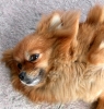 DSCN2635.jpg