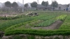 DSCN2642.jpg