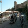 dscn0726.jpg