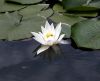 dscn1076.jpg