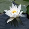 dscn1077.jpg