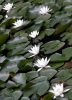 dscn1080.jpg