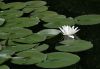 dscn1083-2.jpg