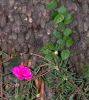 dscn1329.jpg