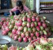 dscn1516.jpg