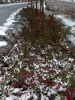 dscn1597.jpg